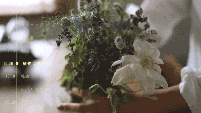 19.gif