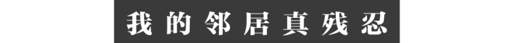 12.png