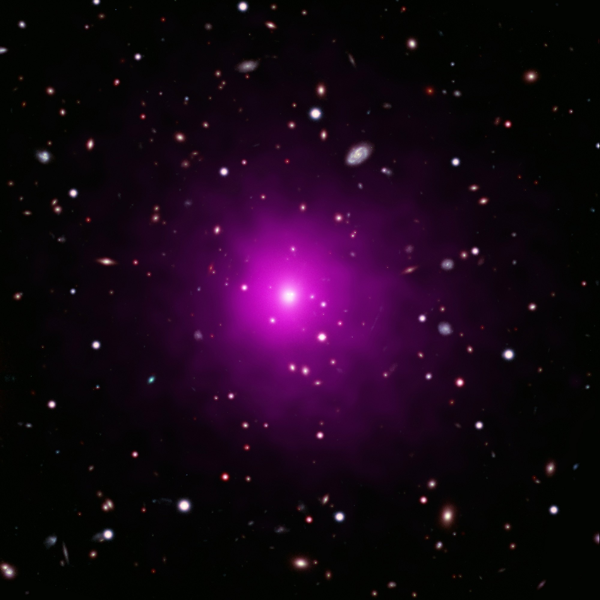 016ED777-CAAD-439E-AE84-546FD493F755.jpeg