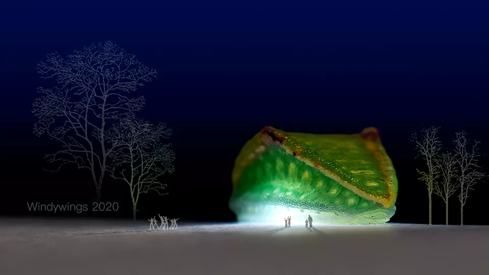 IMG_3664.PNG