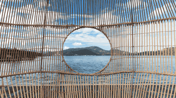 IMG_3989.GIF