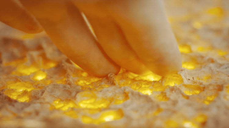 IMG_5429.GIF