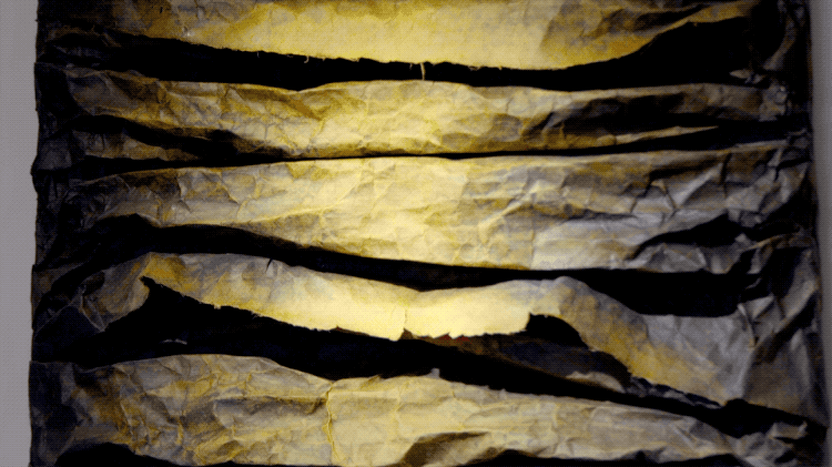 IMG_5433.GIF