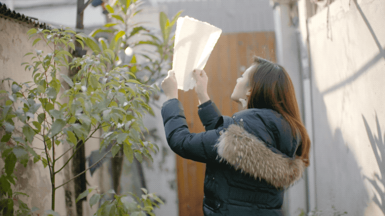 IMG_5438.GIF