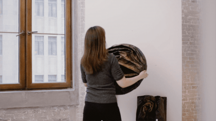 IMG_5439.GIF