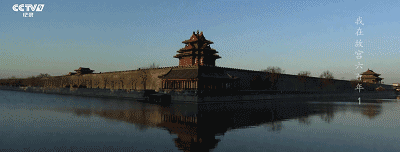 IMG_5569.GIF