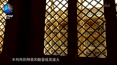 IMG_5573.GIF