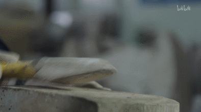 IMG_5601.GIF