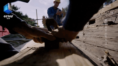 IMG_5603.GIF