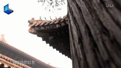 IMG_5611.GIF