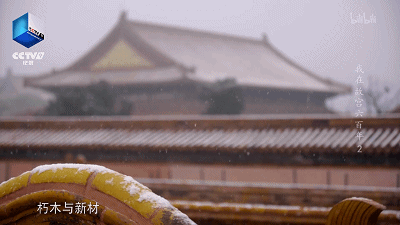IMG_5620.GIF