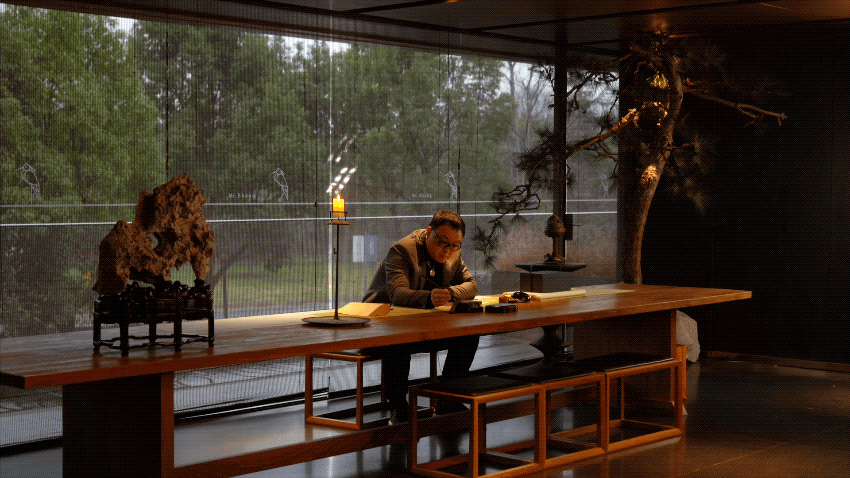 IMG_6510.GIF