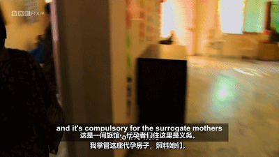 IMG_6848.GIF
