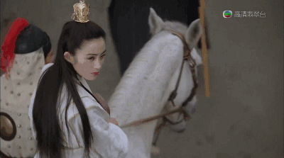 IMG_8146.GIF
