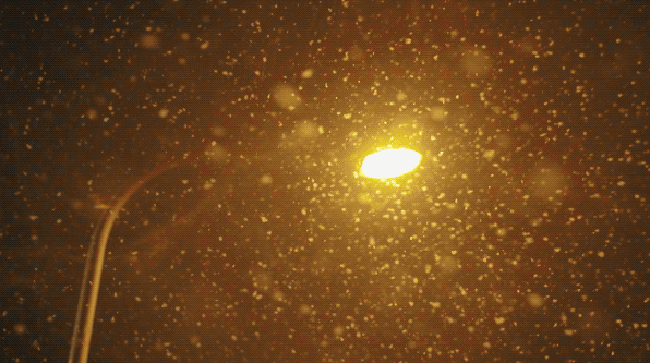 IMG_8440.GIF