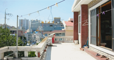 IMG_9537.GIF