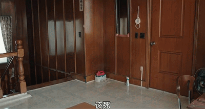 IMG_9553.GIF