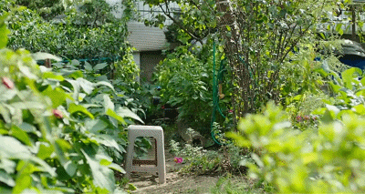 IMG_9560.GIF