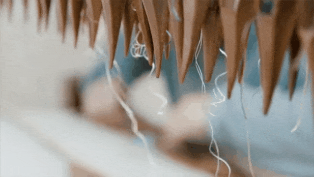 IMG_9903.GIF