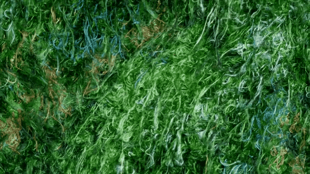 IMG_9915.GIF