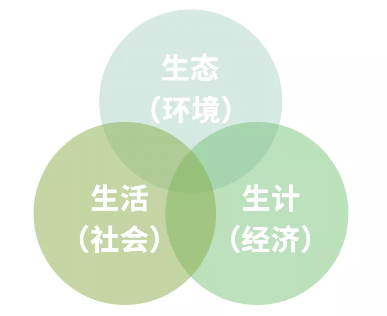 IMG_0387.PNG