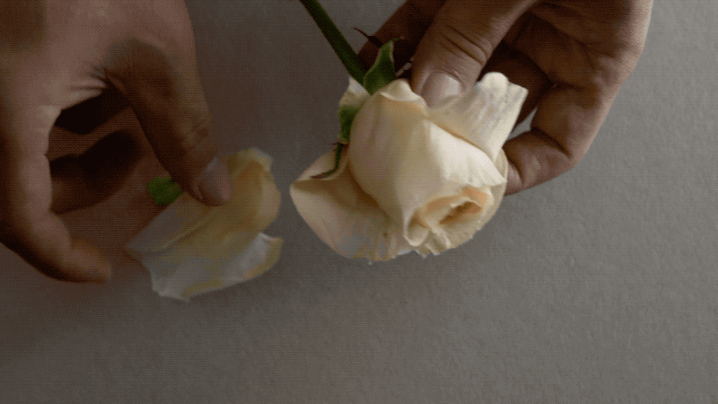 IMG_0742.GIF