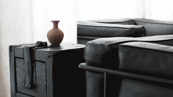 IMG_1359.GIF