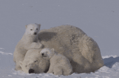 156850425115929698.gif