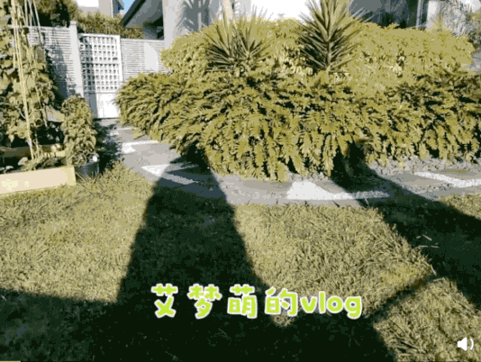 IMG_5382.GIF