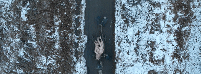 IMG_6141.GIF