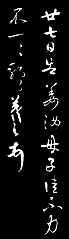 IMG_7238.PNG