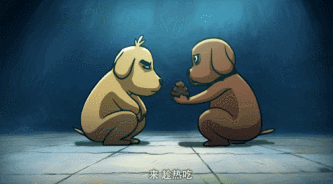 IMG_8495.GIF