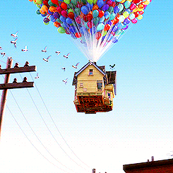 IMG_8563.GIF
