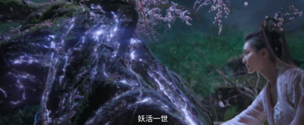 IMG_8731.GIF