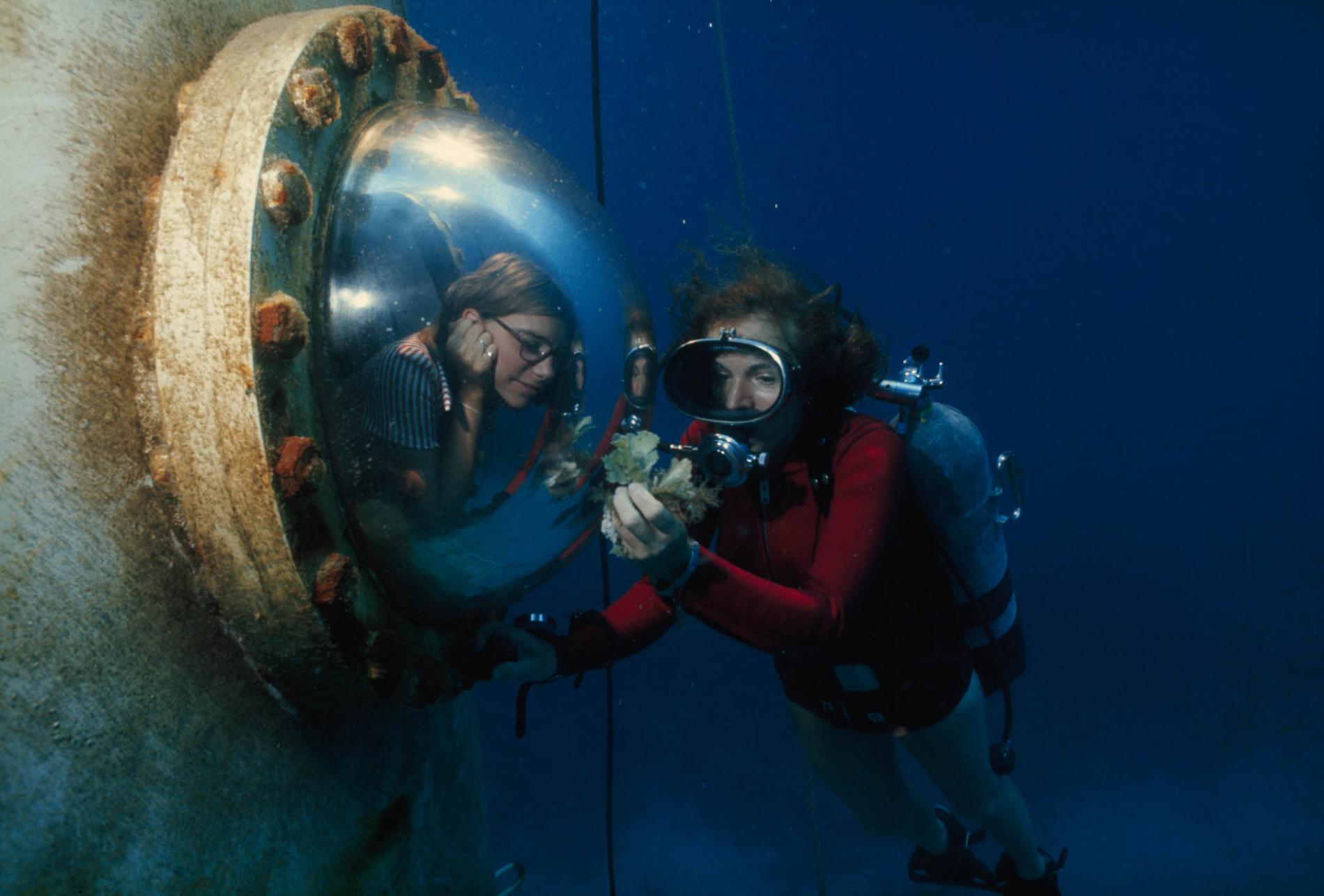 pod-11-02-2021_nationalgeographic_619789.ngsversion.1611679968787.adapt.1900.1.jpg