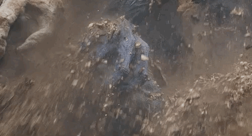 IMG_0455.GIF