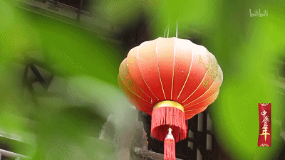 IMG_0925.GIF
