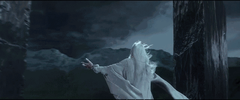 IMG_1917.GIF