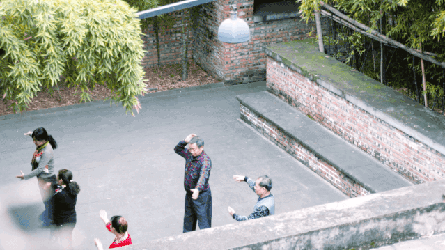 IMG_2917.GIF