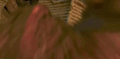 IMG_3347.GIF