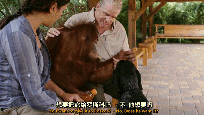 IMG_4117.GIF