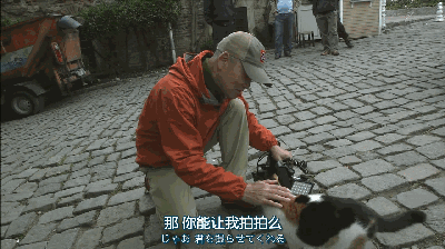 IMG_4313.GIF