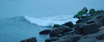 IMG_4437.GIF