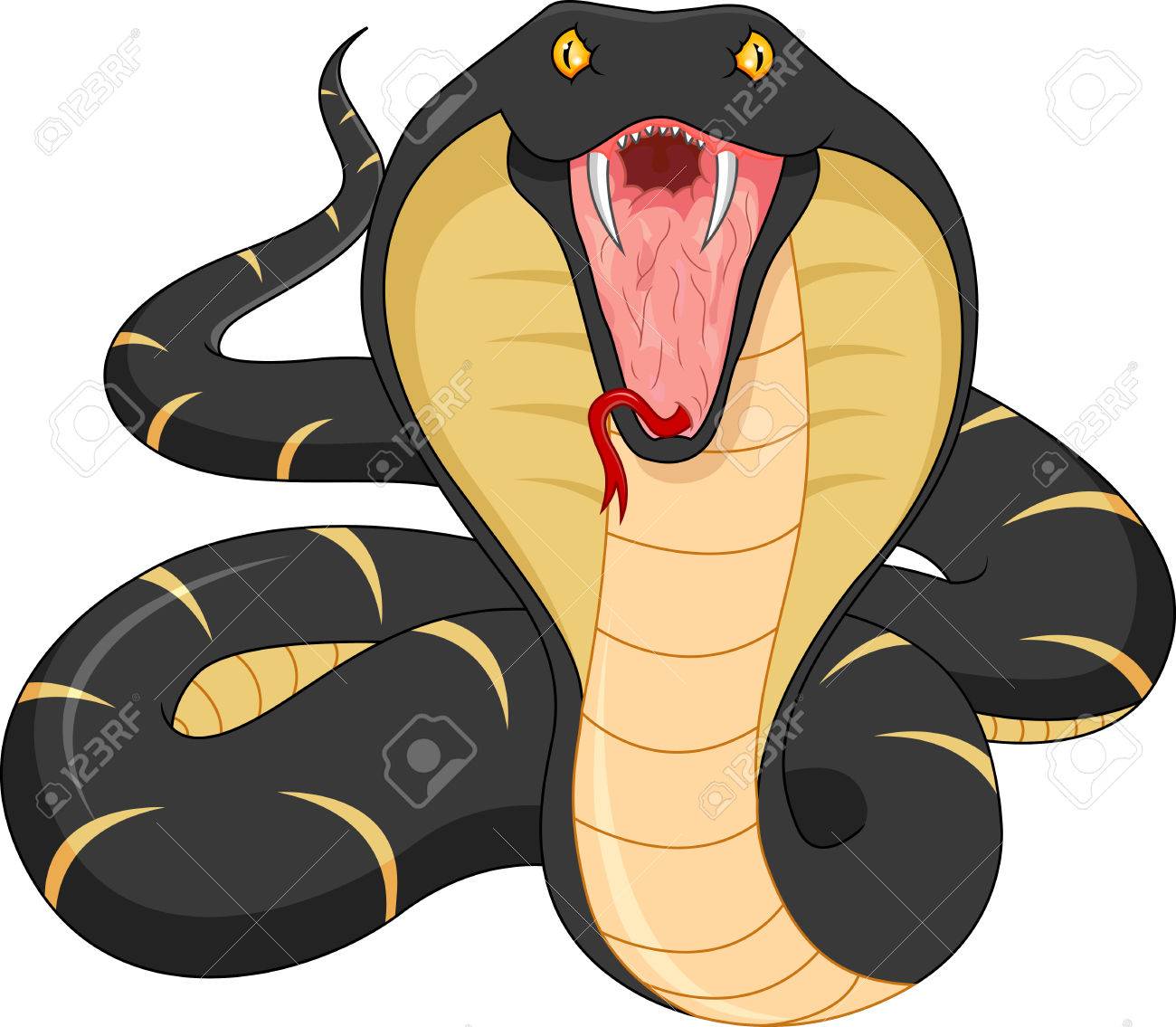 69012329-angry-snake-cartoon.jpg
