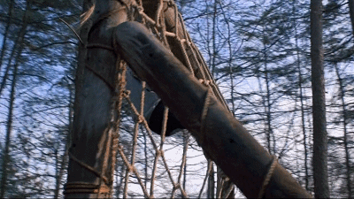 IMG_5139.GIF