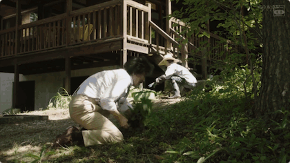 IMG_6562.GIF