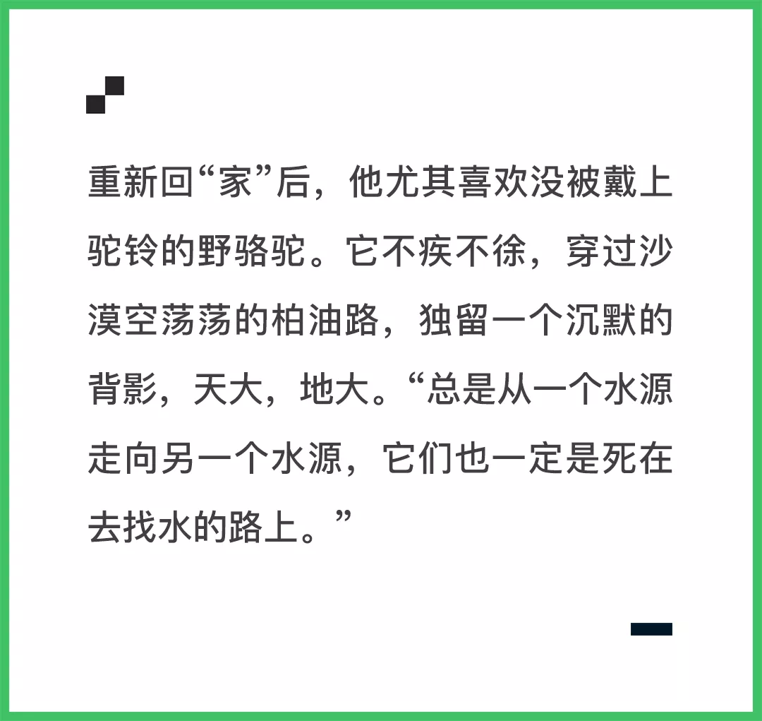IMG_6989.PNG