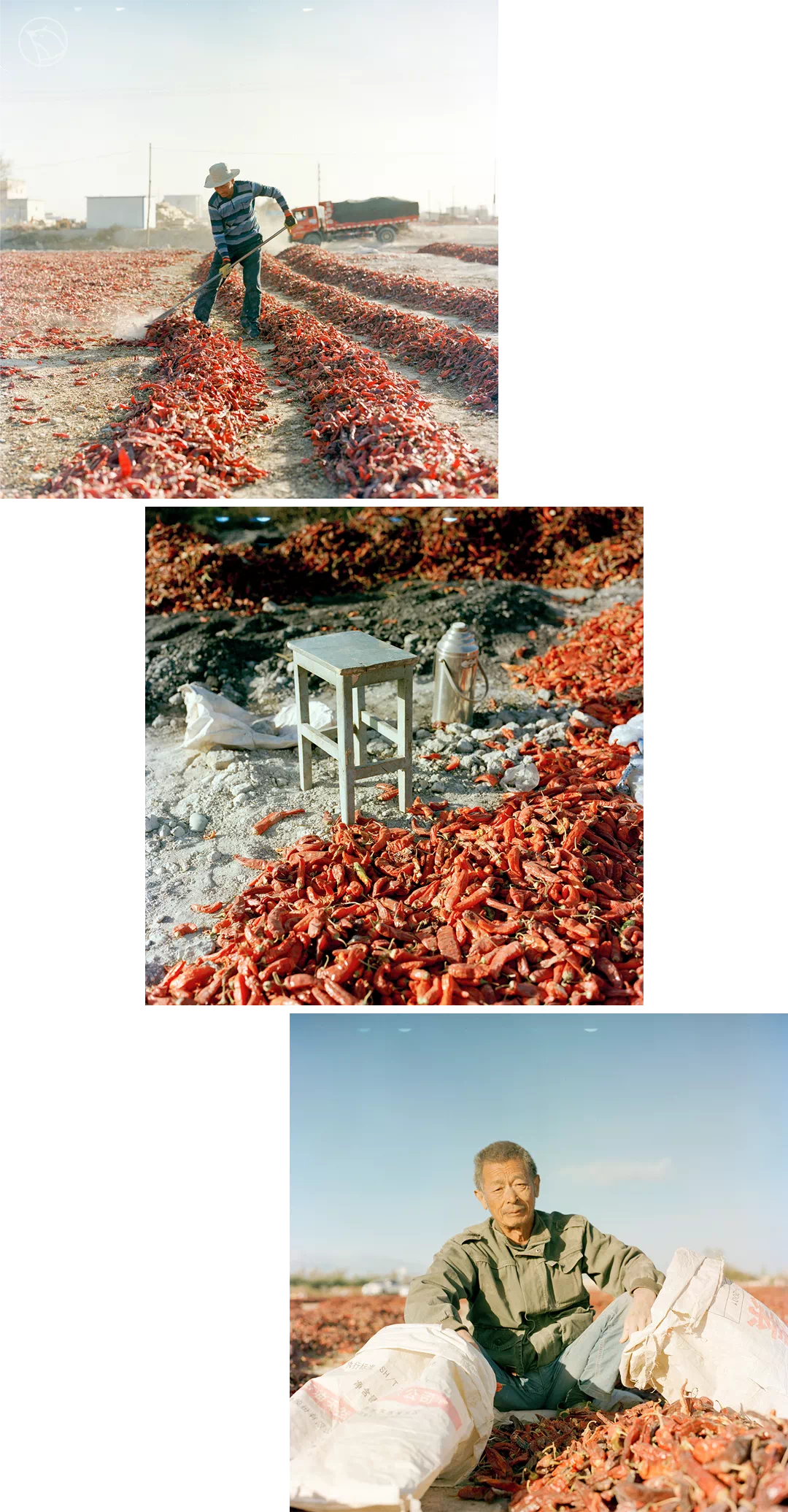 IMG_6995.PNG