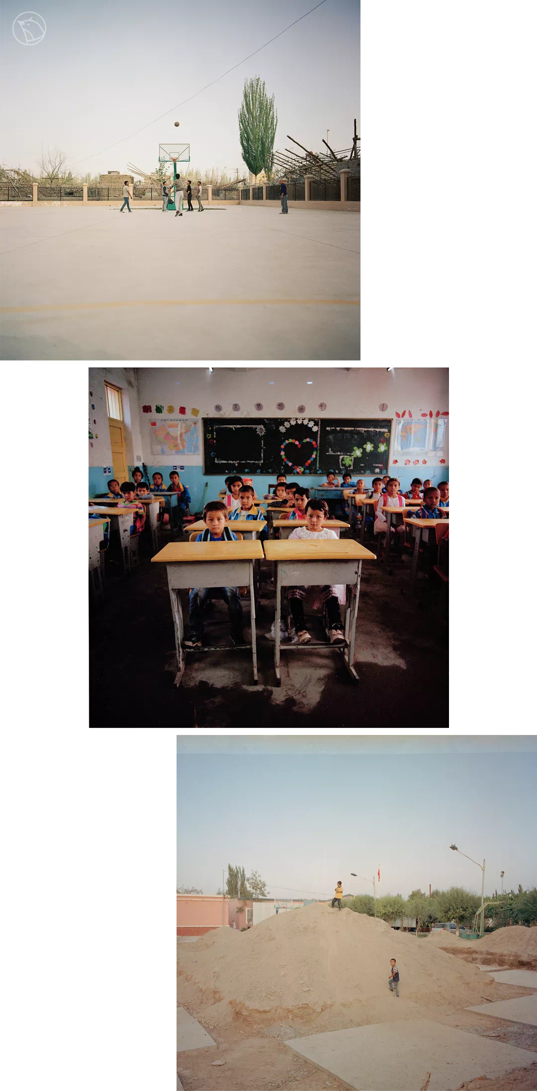 IMG_7006.PNG
