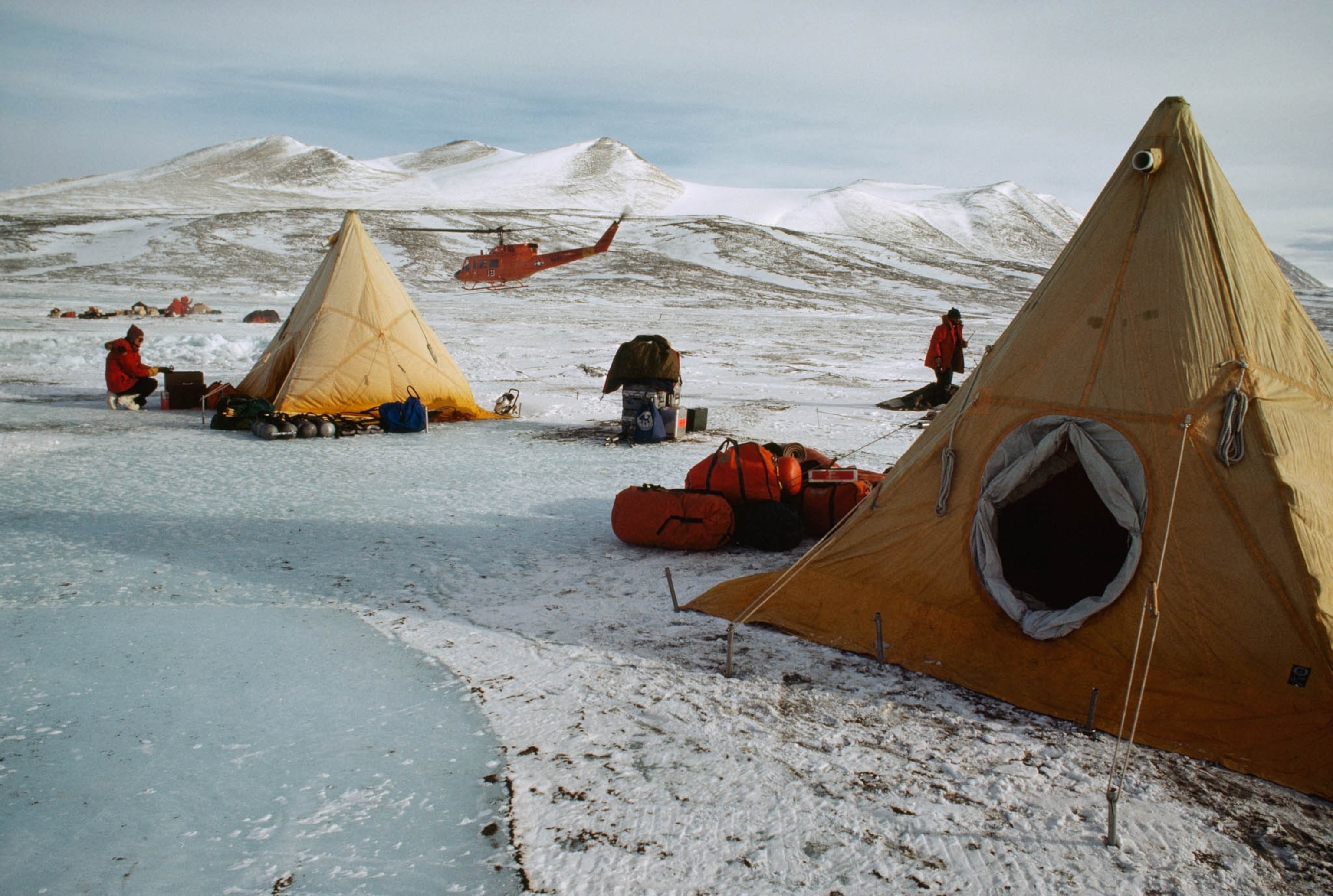pod-22-02-2021_nationalgeographic_431891.jpg